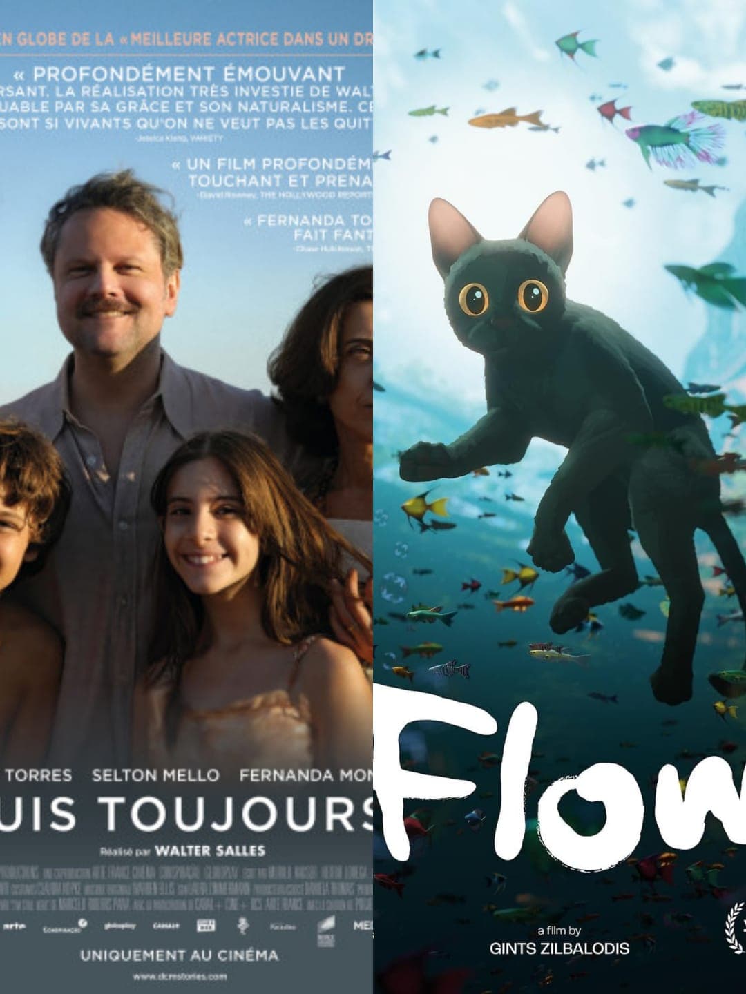 Cine internacional y animación: grandes triunfos